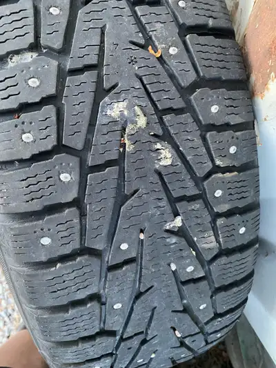 Don’t wait till Fall!! set of 4 Nokian Nordman 7 SUV winter tires on steel rims. size is 245/65 17 o...
