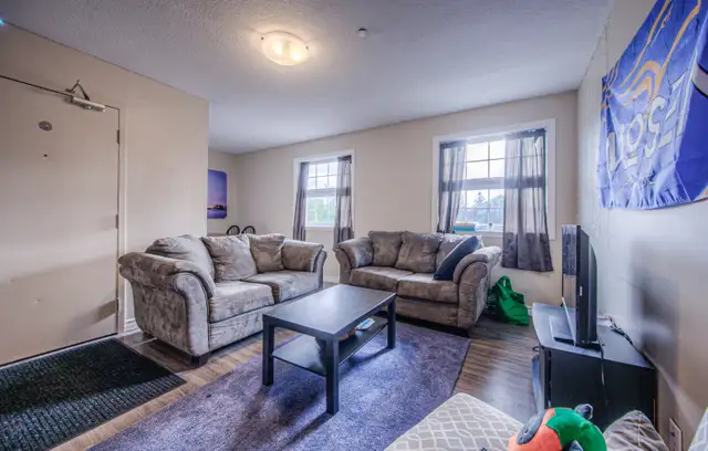 172 Regina St. N. Apt. #5 Room#2 - SUBLET $875 includes parking in Room Rentals & Roommates in Kitchener / Waterloo - Image 5