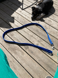 Heavy duty dog leash 