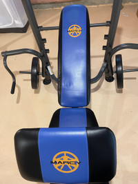 Exercise Bench with weights and dumbbells 