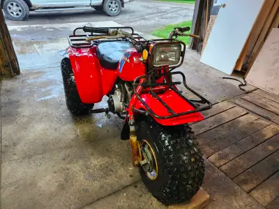 Selling my 1983 200e big red, needs brake work and the muffler is rusted through the side.The batter...