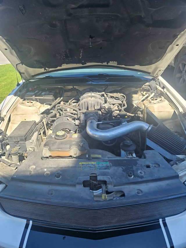 2005 Mustang Convertible, only 130k km in Cars & Trucks in Ottawa - Image 3
