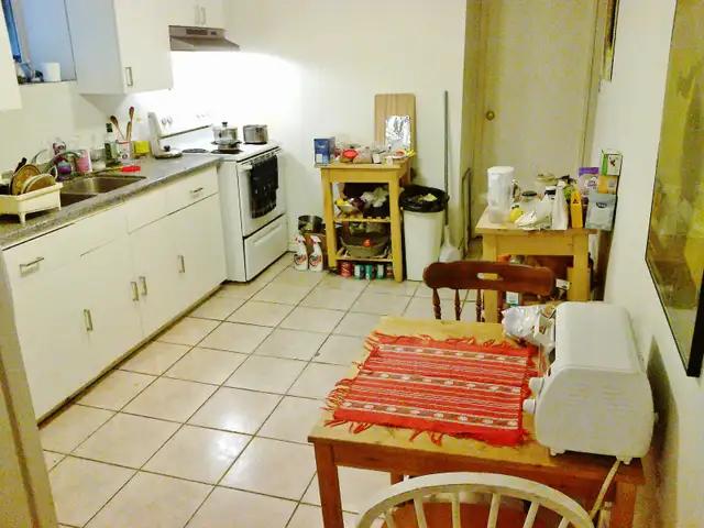 Parkdale apt. in house, bright room in 3 bedroom, June 1 in Room Rentals & Roommates in City of Toronto - Image 7