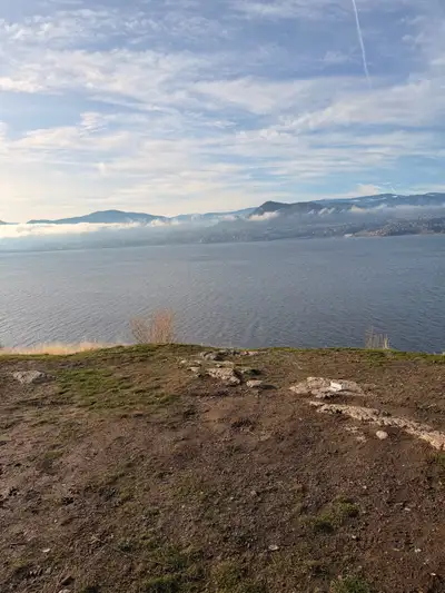 iPhone 17 pro max blue 256 Unlocked, View more