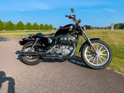 2005 Harley Davidson Sportster XL883. New tires, air filter, oil/filter, brake fluid, plugs, primary...