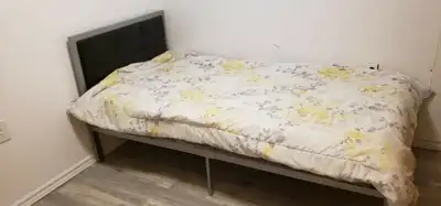 Rent room in scarborough