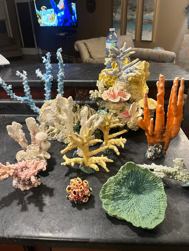 Artificial coral saltwater in Fish for Rehoming in Leamington