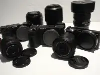 Caméras Sans Miroir/Mirrorless Digital Cameras