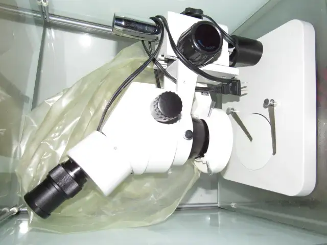 large size  High quality microscope in Arts & Collectibles in Ottawa - Image 3