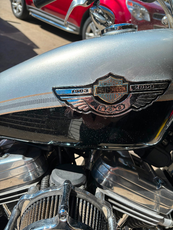 2003 Harley Davidson Sportster 883 Anniversary Edition in Street, Cruisers & Choppers in Kelowna - Image 2