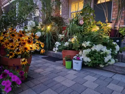 Markham Housemate Wanted (Hwy 7/Leslie St) All inclusive $1200