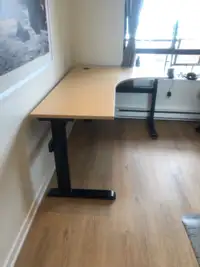Electric Sit / Stand Desk