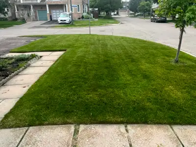 Professional Lawn Mowing/Grass cutting Services, View more