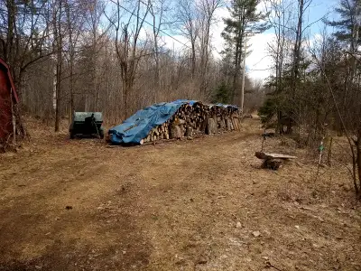 About 20 cords (firewood) left as of Dec. 1, 2024, in covered drive up pile, easy Kanata pickup. Wil...