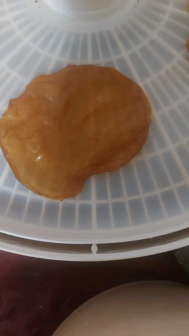 Milk kefir * Probiotic ! in Animal & Pet Services in Edmonton - Image 9