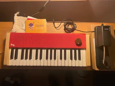 Loog portable digital piano (with sustain pedal), View more