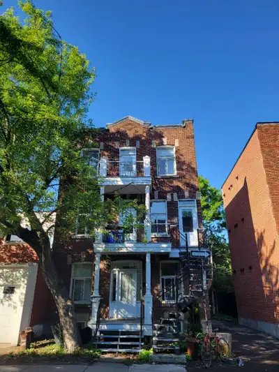Ideal location 6 1/2 in heart of plateau mont royal for rent!