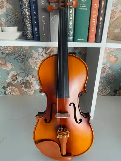 Violin 4/4 full outfit, View more