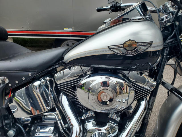 2003 Harley Davidson 100 anniversary Heritage Softail Classic in Street, Cruisers & Choppers in Peterborough