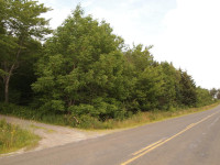 1 acre on Danvers, Digby County, Nova Scotia