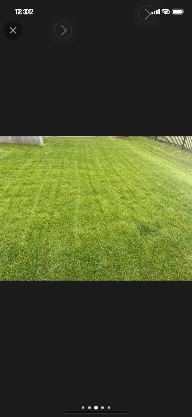 Residential Lawn Mowing/Services 780-275-031063235361559937124