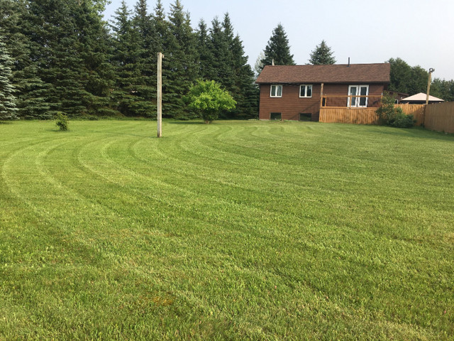 Lawn Care - Aeration, Fertilizing, Overseeding, Mowing in Lawn, Tree Maintenance & Eavestrough in Thunder Bay - Image 4