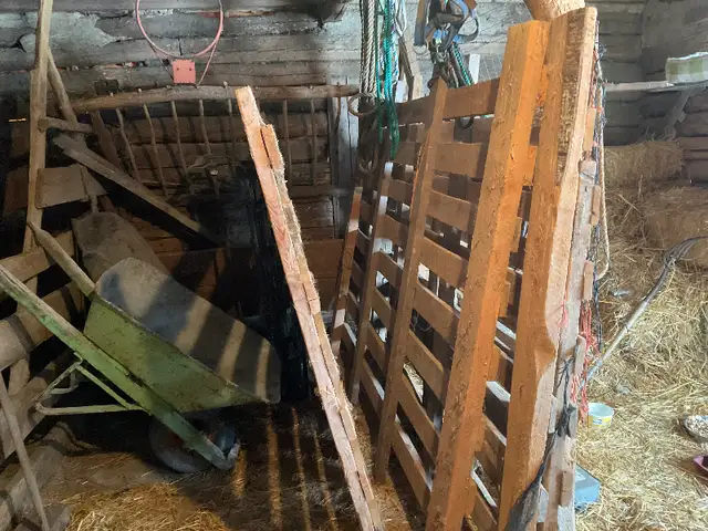 Livestock & Fence Posts in Other in Saskatoon - Image 10