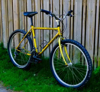 Raleigh Ambush 26er, View more