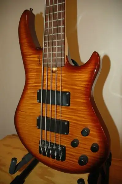 Bass Godin 5 cordes, View more