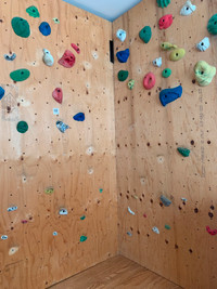 64sq ft climbing wall with ~ 90 holds