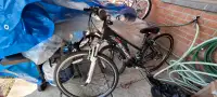 Schwinn female bike w/Shimano shifter