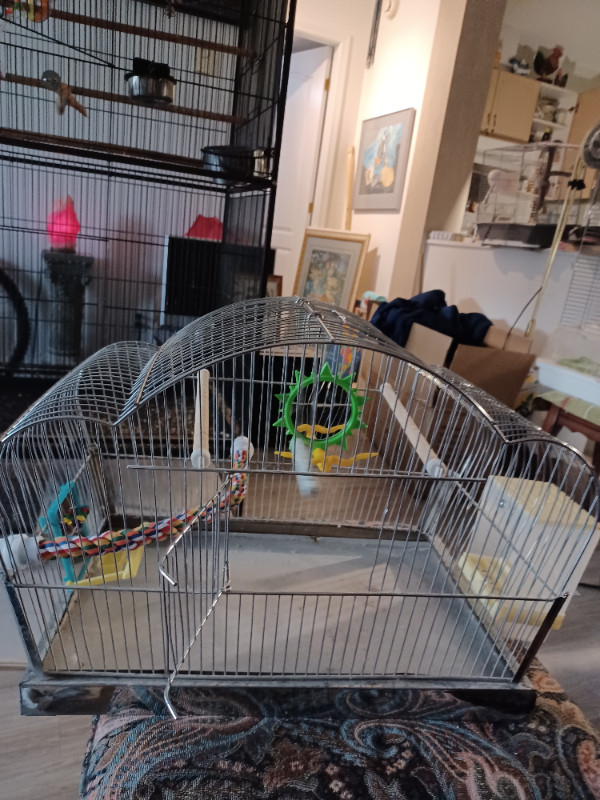 Vintage stainless steel bird cage with rubber liner in Birds for Rehoming in Abbotsford