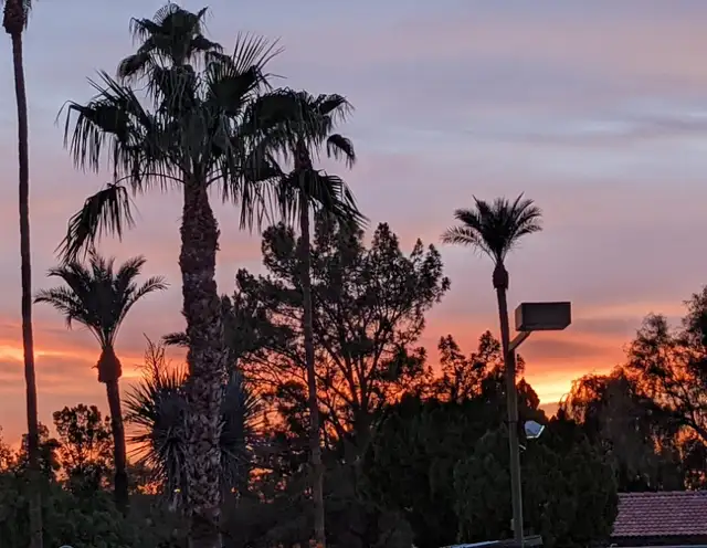 PHOENIX  ( CHANDLER ) ARIZONA CLEAN AND FRESH VACATION RENTAL in Arizona in Canada - Image 2