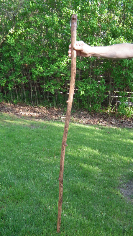 Hiking Walking Wood Sticks Staffs REDUCED $15.00 ($25.00) Each in Other in Belleville - Image 4