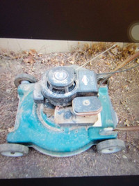 Briggs and Stratton equipped mower.