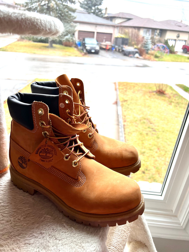 Men’s Timberland Premium 6-inch Waterproof Boot in Men's Shoes in Hamilton