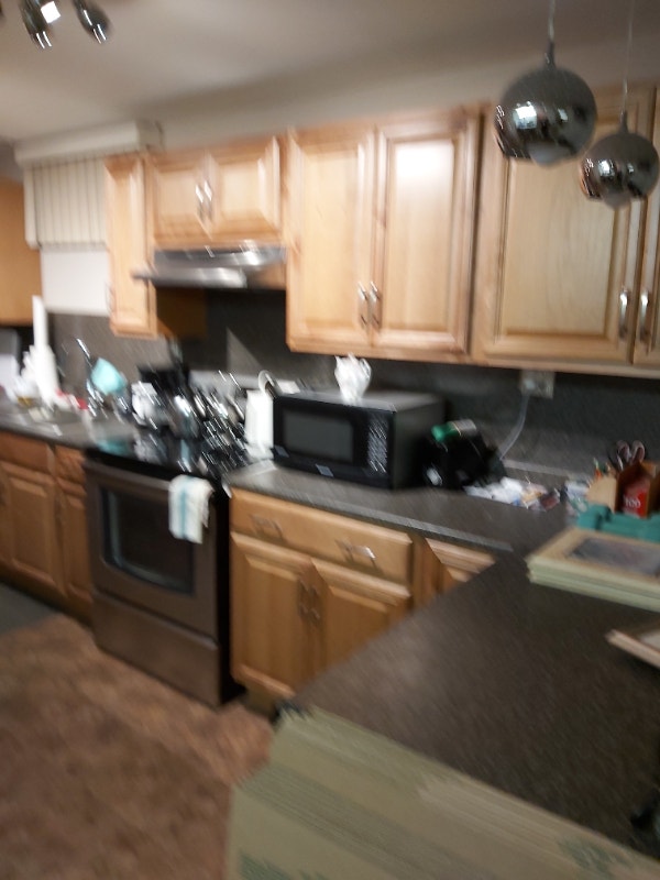 2 Bedroom I bath Basement Apartment available 1 Sept. 2023 Long Term