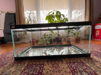 Extra-large tank for hamsters/other rodents