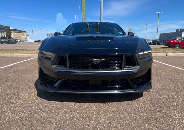 2024 Ford Mustang Dark Horse  in Cars & Trucks in Moncton - Image 2