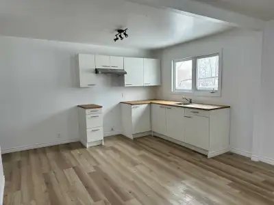 Secteur Luceville. Disponible le 1er juillet ,1500$ 1 stationnement Pas d’animaux NC NE Enquête de c...