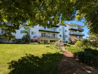 APARTMENT FOR RENT: Cook St Village