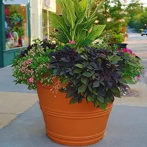 Extra Large Planter Pots, View more