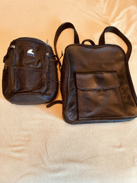 Black backpack and Thermal Bag