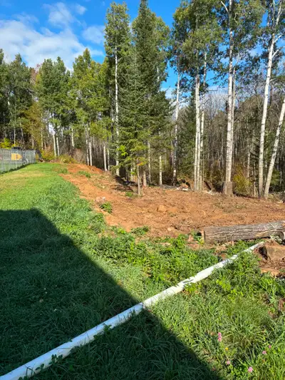I have 35+ popular trees/logs for FREE, way too much wood for what we need it for! They have been cu...