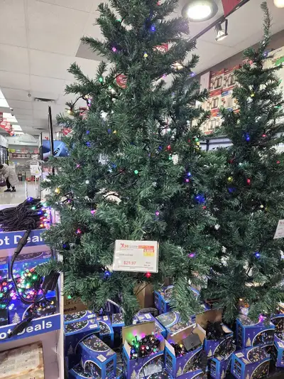 Saturday afternoon fairview mall library, View more