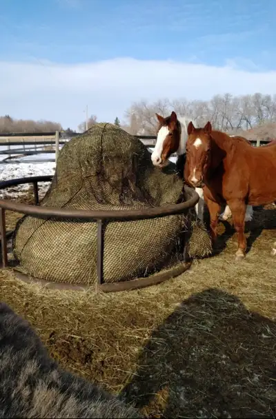 We have been feeding with these nets for over 10 years, these nets help us to have healthy horses, a...