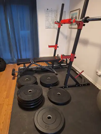 Bench $200 Squat Rack $250 Olympic Bar $125 locking collars & pad incl. Bumper plates 2x10lbs $25 2x...