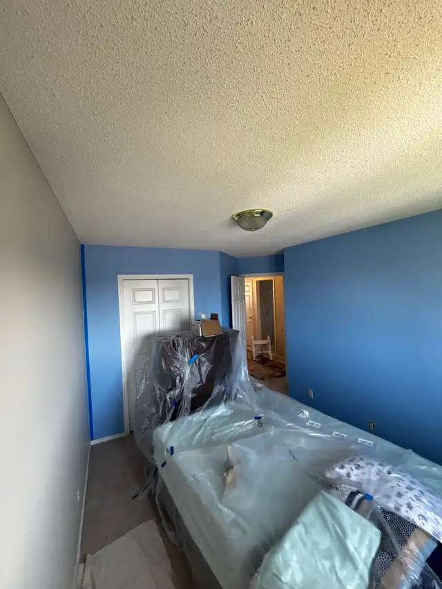 Professional Interior Painter415732416234792961