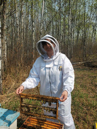 Introductory Beekeeping class