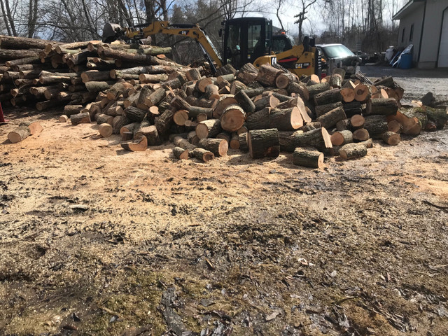 Hardwood Firewood in Other in Peterborough
